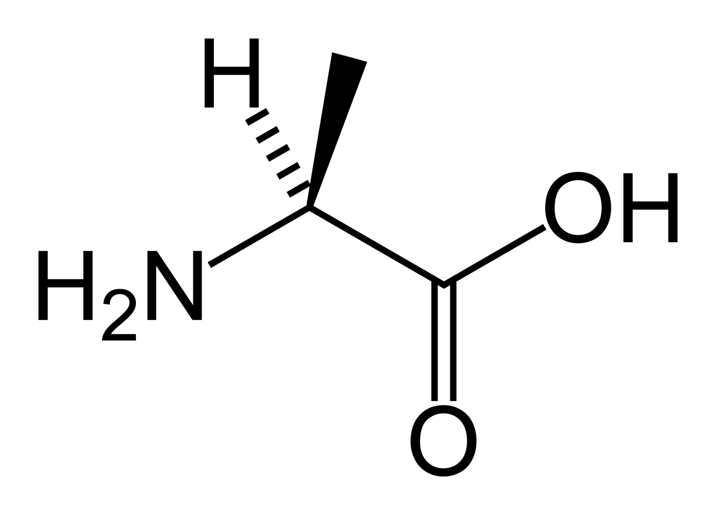 1. aa, Alanine A