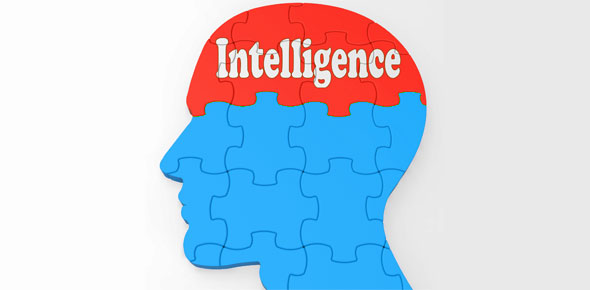 intelligence-quotient-quiz-take-or-create-intelligence-quotient