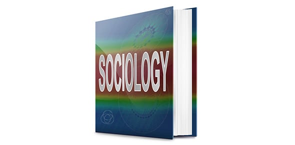 Quizlet sociology chapter 8