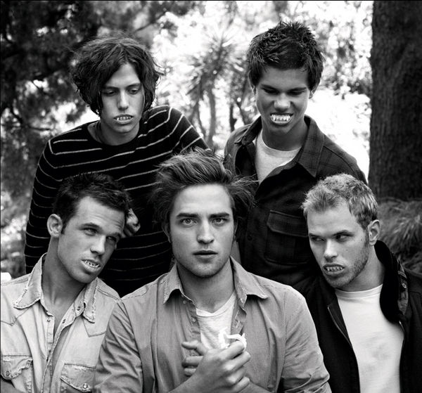 The Twilight Guys