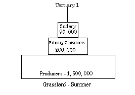 Energy In Ecosystems - ProProfs Quiz