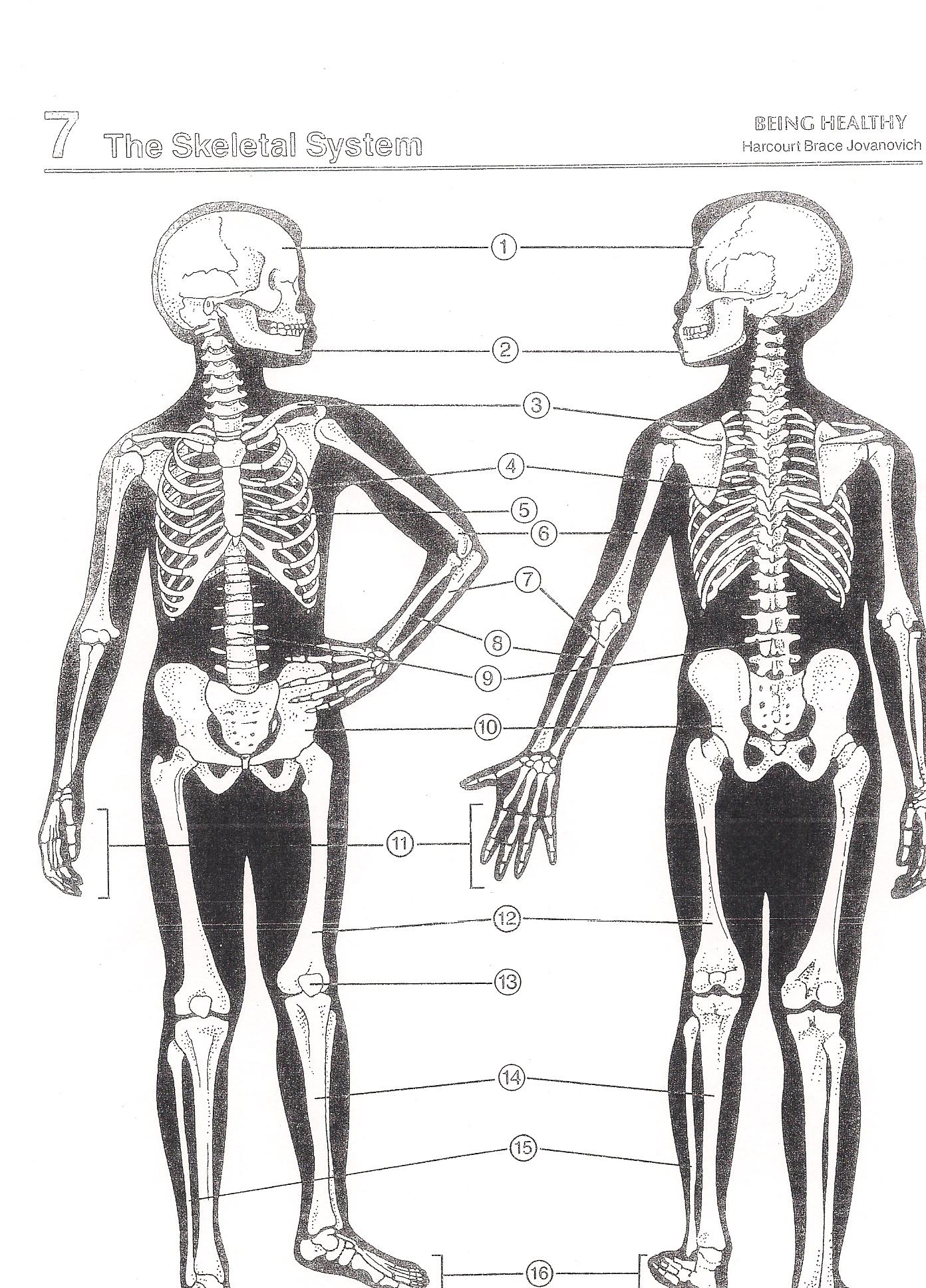 health-chapter-3-test-proprofs-quiz