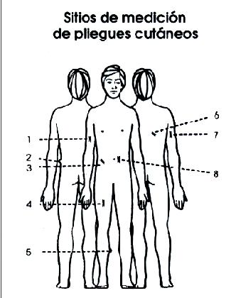 Pliegues Cutaneos