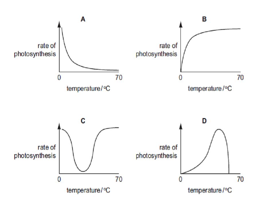 Effect of Temperature on the Rate of