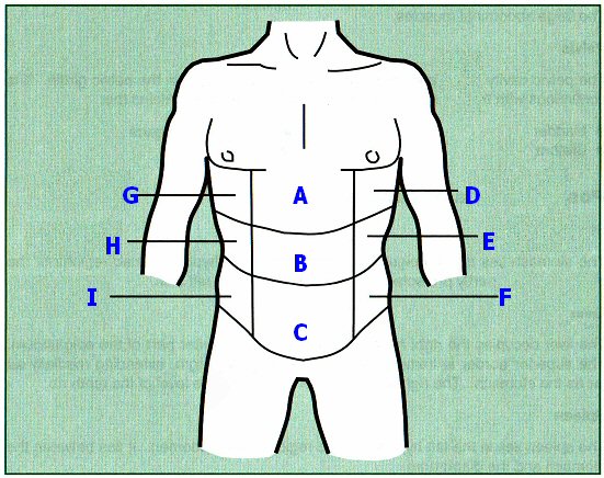 Introduction To The Human Body By Ambulancecpd.Co.UK - Quiz, Trivia ...