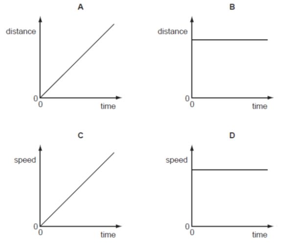 G12 T2 Class Work 1 - Quiz, Trivia & Questions