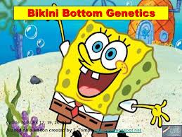 Spongebob Genetics Worksheets II - ProProfs Quiz