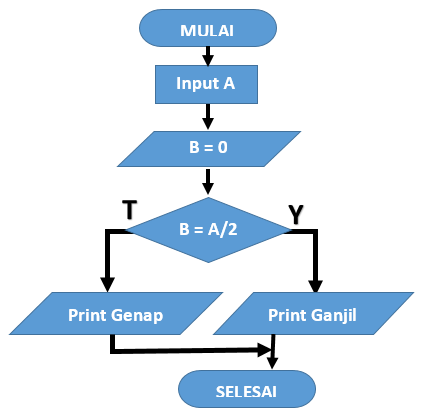 Print input 1