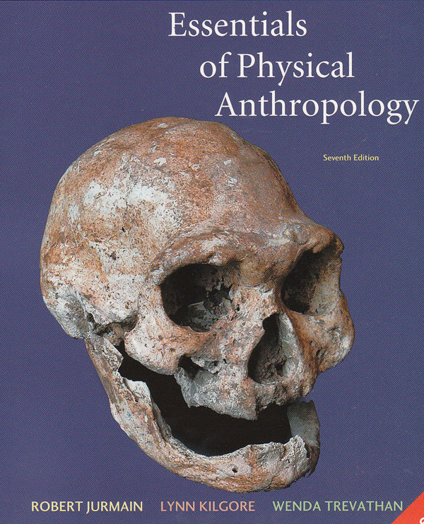 Homo Errectus: A Anthropological Study