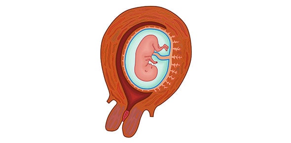 Pregnancy Quiz Before Missed Period - ProProfs Quiz