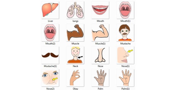 IT's All About Parts Of The Body Quiz - ProProfs Quiz