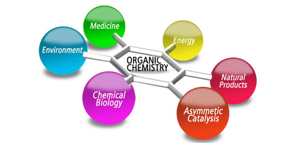 IB  Topic 10 Organic Chemistry - Quiz