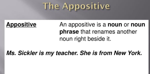 Appositive Or Appositive Phrase Quiz ProProfs Quiz