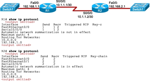 CCNA Final: Routing Protocols (New) - Quiz, Trivia & Questions