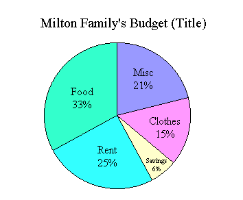 pie chart of monthly expenses