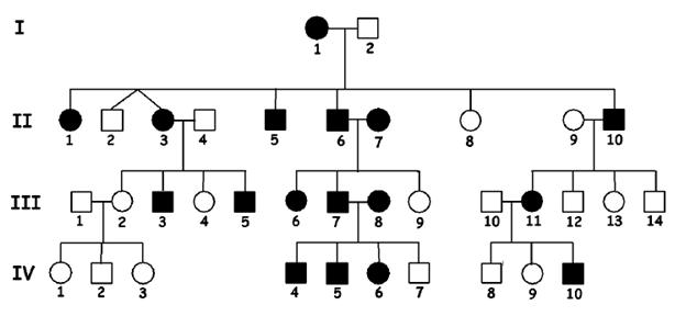 AP Bio Pak 8 Homework-ch. 14 - ProProfs Quiz