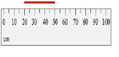 Mr. Womack Tech Ed Measuring - Quiz, Trivia & Questions