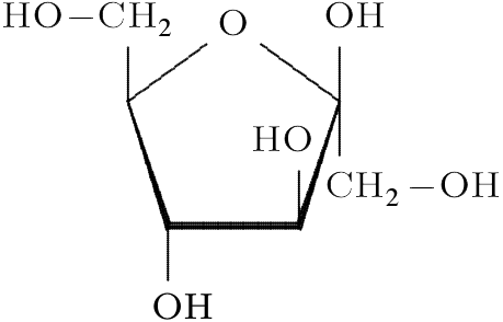 free download structure of carbohydrates