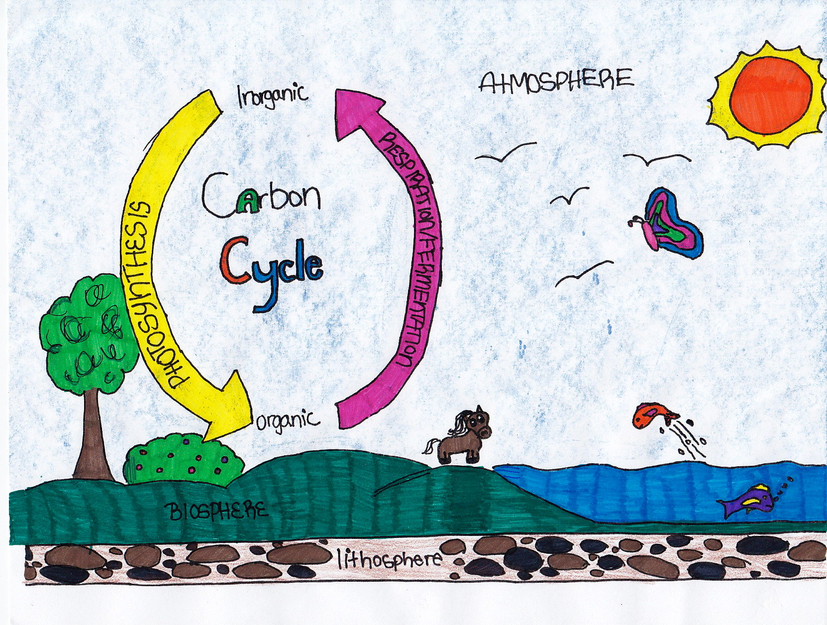 Soil Superheroes - ProProfs Quiz