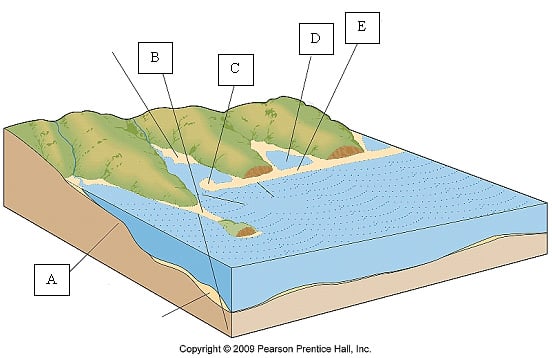 The Environmental Geology 1340 Exam Practice Test! - Quiz, Trivia ...