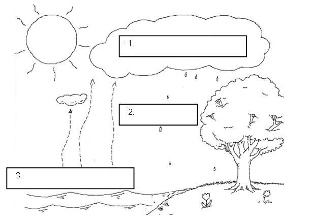 Weather Review - ProProfs Quiz