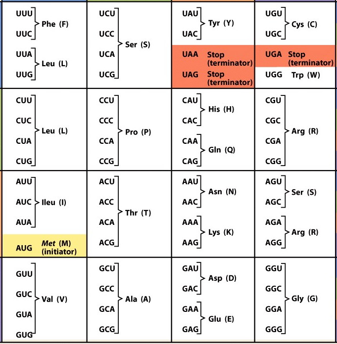 Mutations: Changes In The Genetic Material - ProProfs Quiz