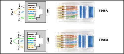 The Unbeatable Quiz On CCNA 1 Final Exam | Attempts: 5246 - Trivia ...