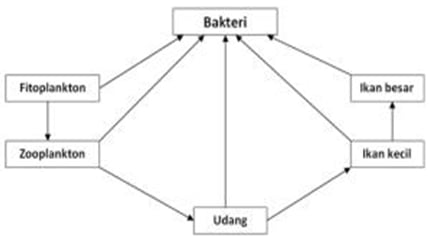 Soal Latihan Ulangan Kenaikan Kelas (ukk) - ProProfs Quiz