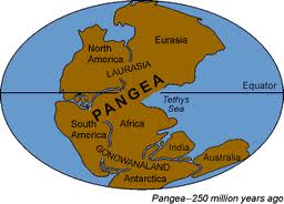 Continental Drift Assessment 1-A, 2-A, 1-B, 2-B - Quiz, Trivia & Questions